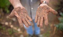 mano manchada de barro por ayudar en la Dana